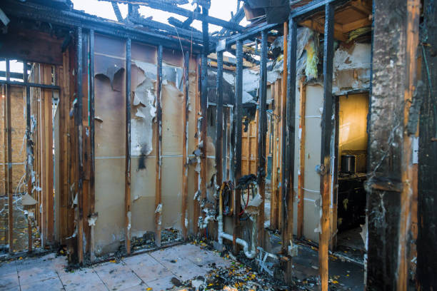 Professional Soot Cleanup technician working in Silver Grove, KY